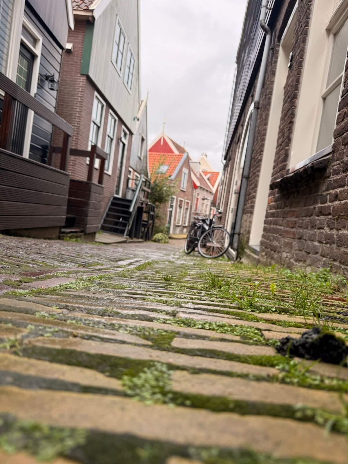 Power KPIs - 68ea32c37cb3b bp cover image